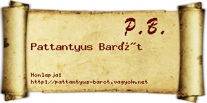 Pattantyus Barót névjegykártya